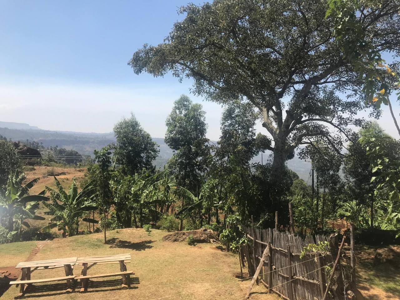 Sipi Backpackers Apartment Kapchorwa ภายนอก รูปภาพ